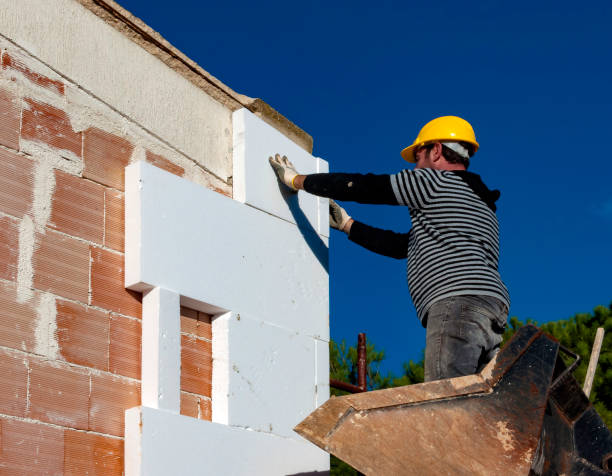 Best Insulation Installation Services in Frankfort, IN